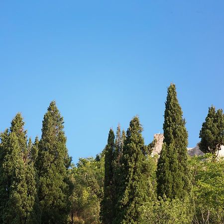 Vasiliki Apartment Virpazar Luaran gambar