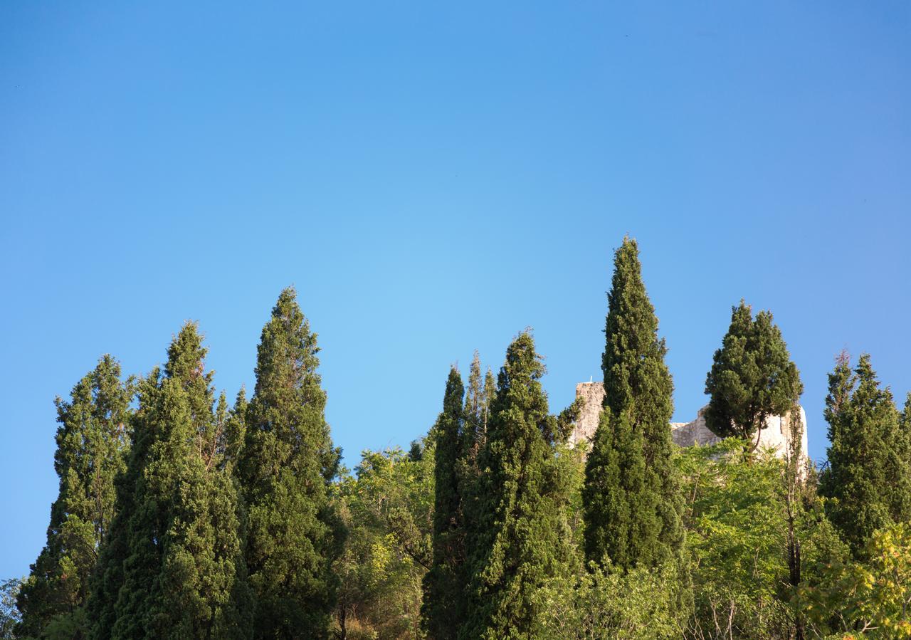 Vasiliki Apartment Virpazar Luaran gambar