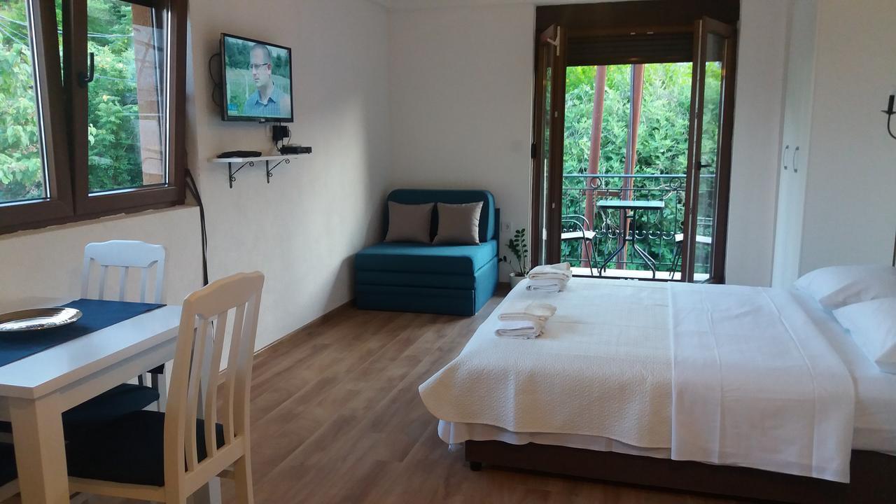 Vasiliki Apartment Virpazar Luaran gambar